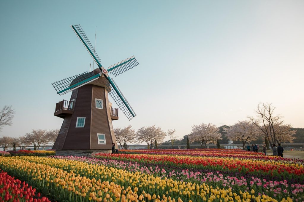 Holland windmill