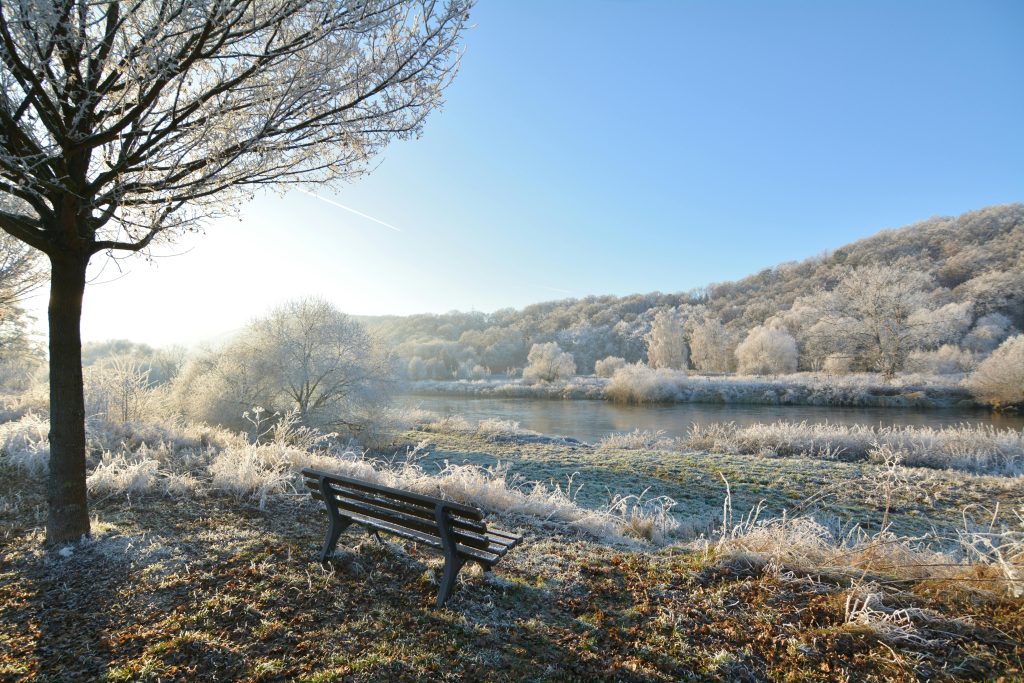 Winter landscape