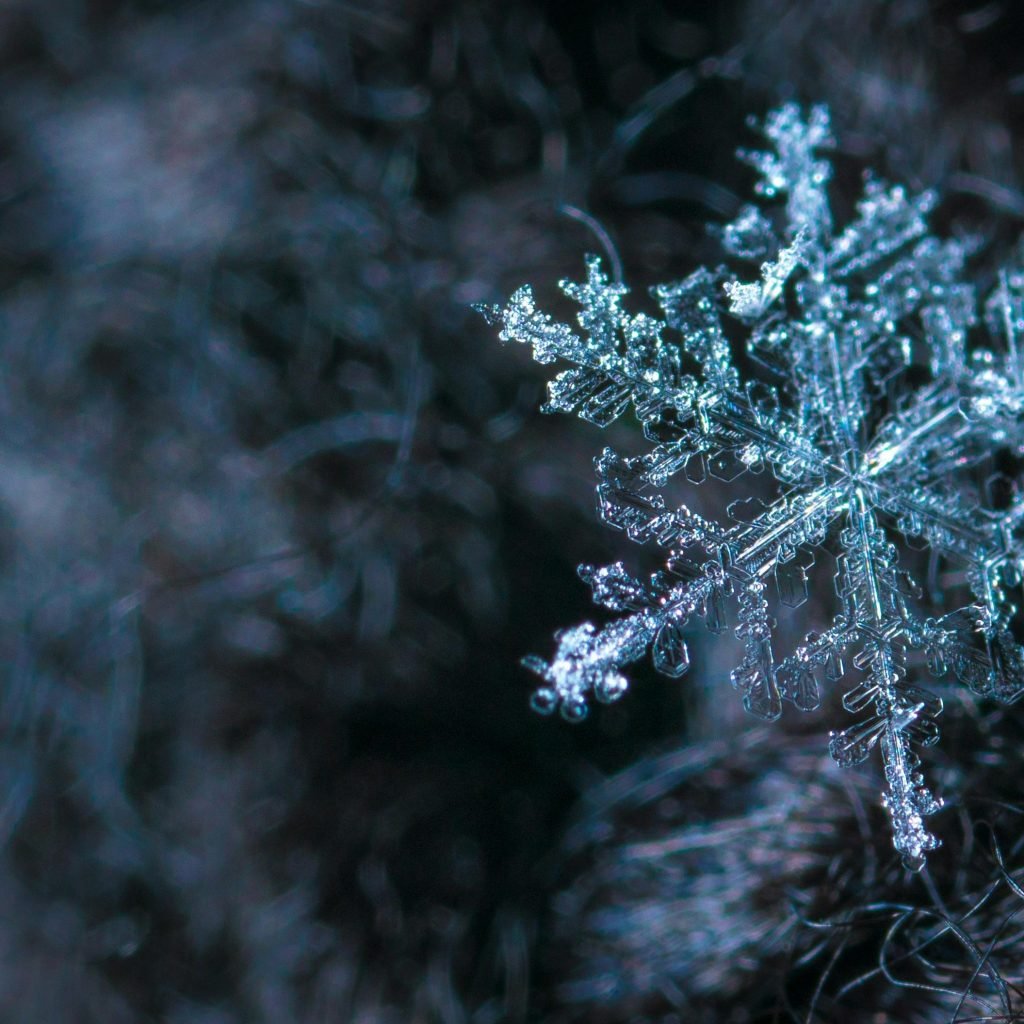 snowflakes